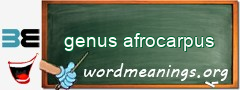 WordMeaning blackboard for genus afrocarpus